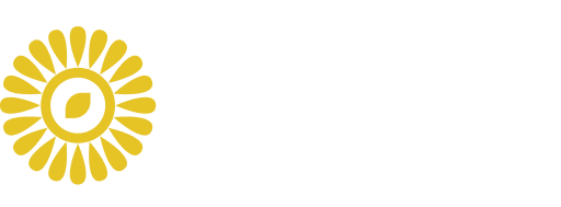 ordiio logo
